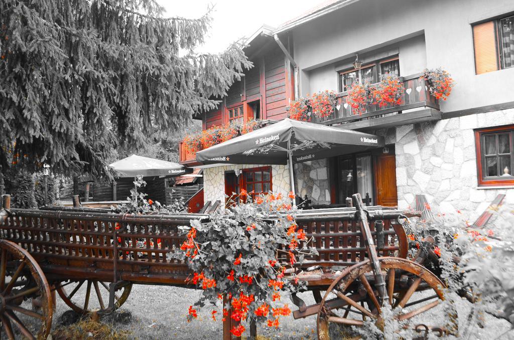 Miris Dunja * Zlatibor