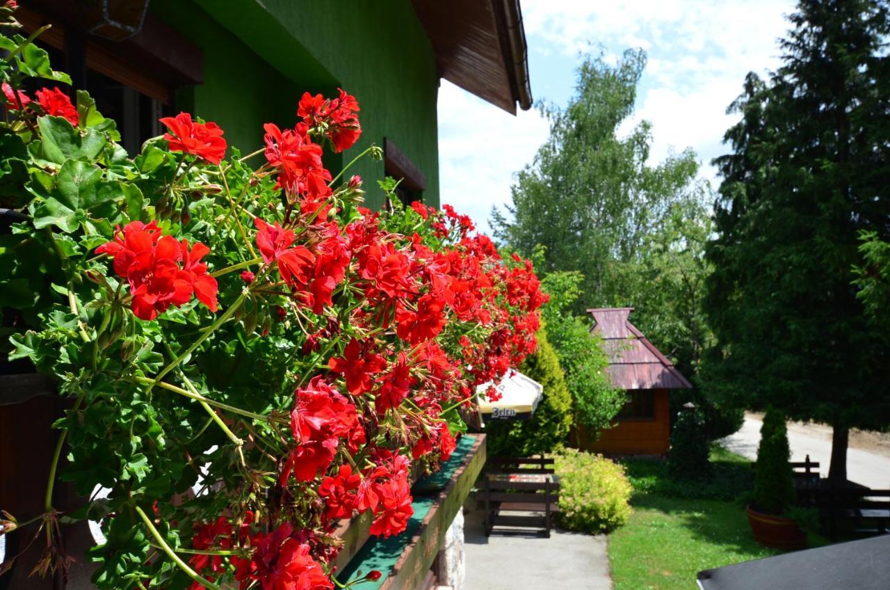 Apartment Miris Dunja *